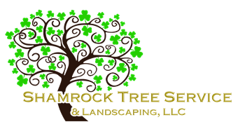 Shamrock Tree Service - 860-533-1141